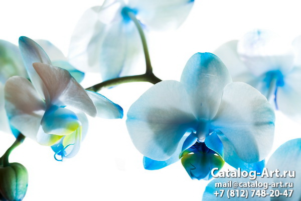 Натяжные потолки с фотопечатью - Голубые цветы 28